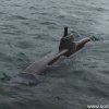 Koeln2014_1 (25)